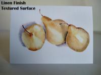 Three Pears 5x7 Blank Note/Greeting Cards from Original Color Pencil Drawing, with Envelopes by Painted Papyrus