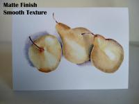 Three Pears 5x7 Blank Note/Greeting Cards from Original Color Pencil Drawing, with Envelopes by Painted Papyrus