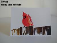 Cardinal 5x7 Blank Note/Greeting Cards from Original Watercolor Art, w/ Envelopes and Personalization