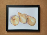 Three Pears in Color Pencil Art Print, Signed by Artist