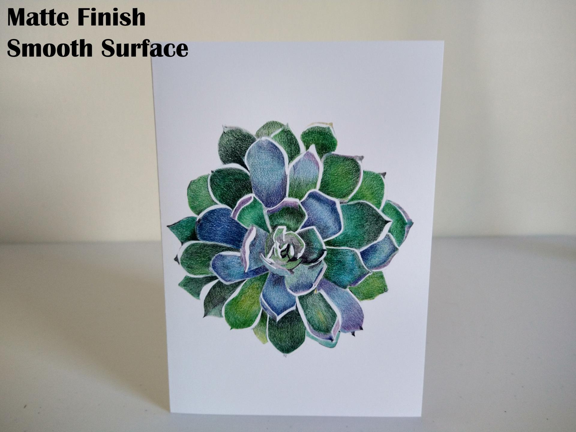 Succulent 5x7 Blank Note/Greeting Cards from Original Color Pencil Art, w/ Envelopes by Painted Papyrus Market